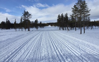 Birkebeinerrennet