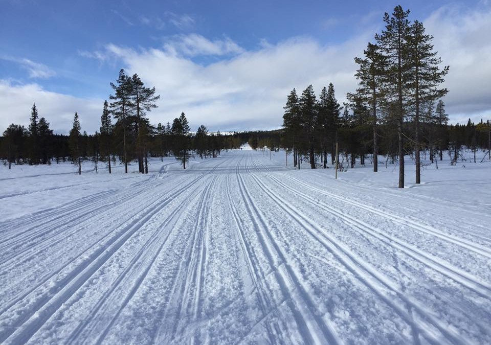 Birkebeinerrennet