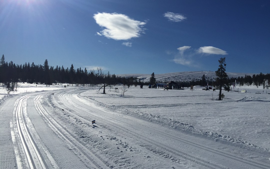 Långlopp och sommarförberedelser!